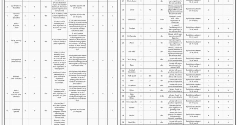 Jobs in Sindh Employees Social Security Institution